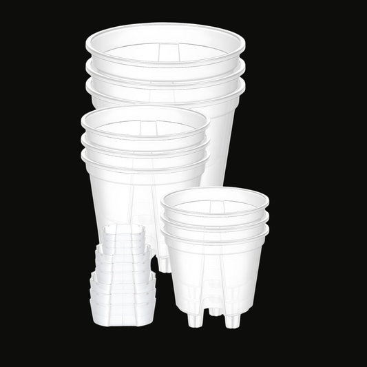 Clear Self-Watering Pots