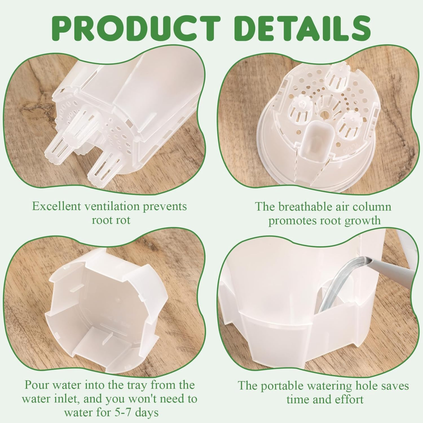 Clear Self-Watering Pots