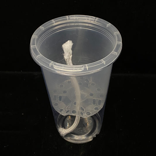 NPG Clear Self-Watering Pot – 13 cm High × 9 cm Wide