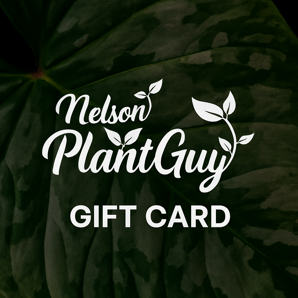 NPG Gift Card