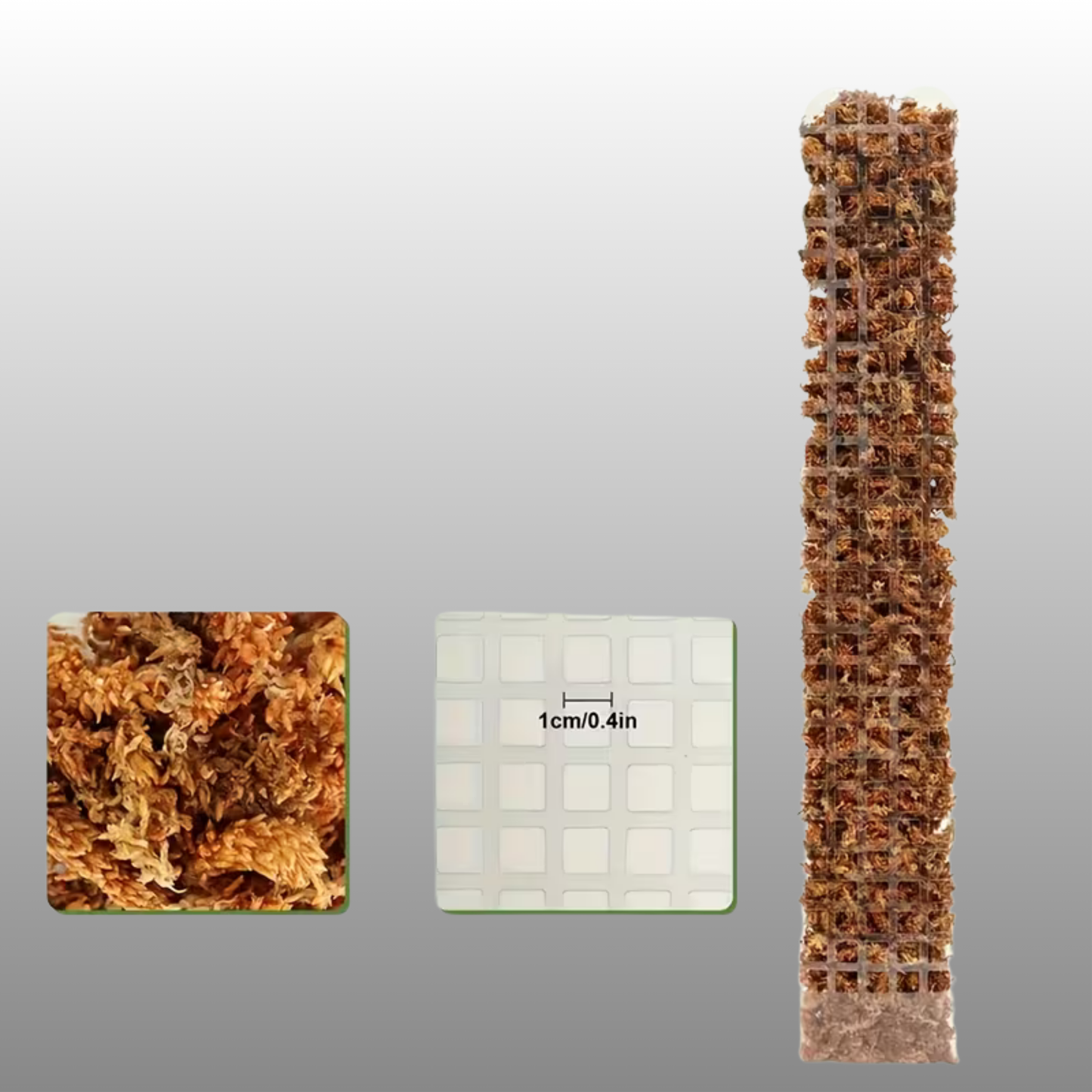 Clear Plastic Moss Poles – D Shape