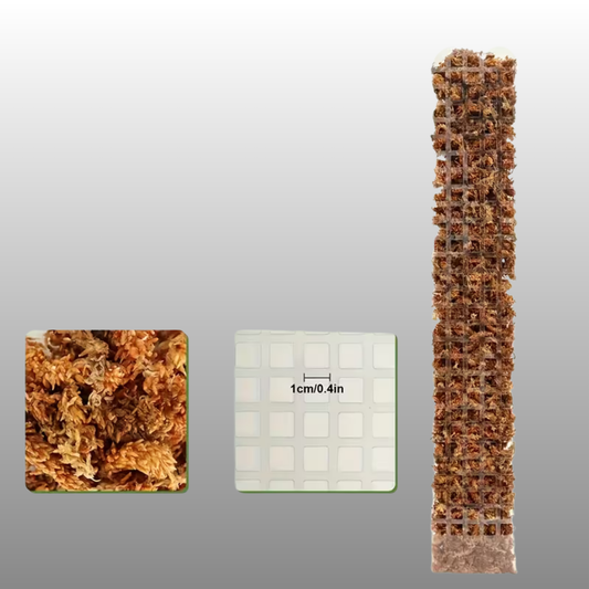 Clear Plastic Moss Poles – D Shape