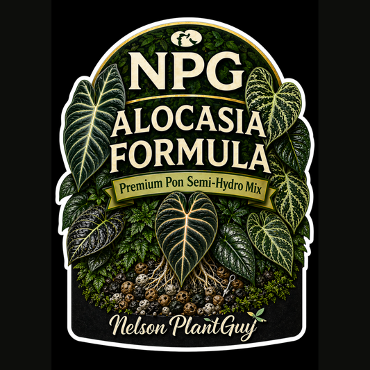 NPG Alocasia Formula