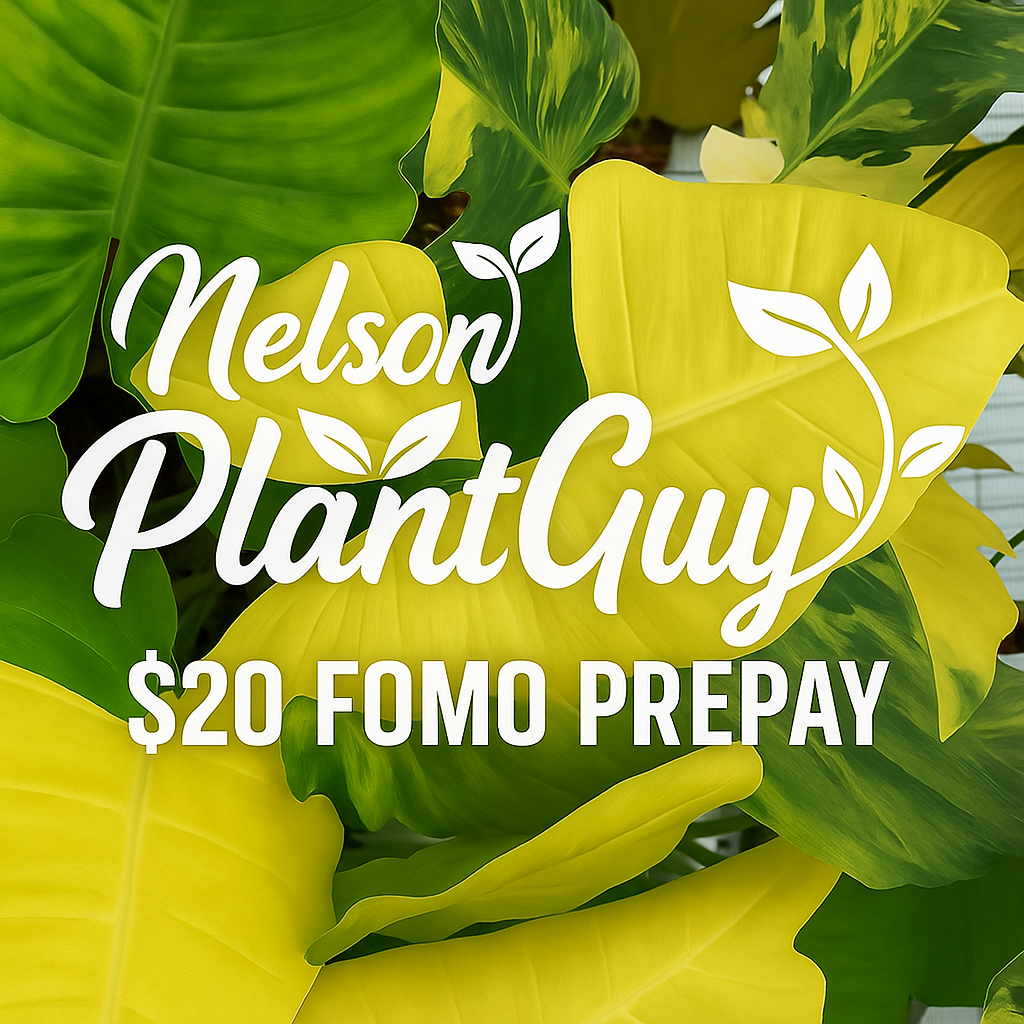 NPG Fomo Prepay $20