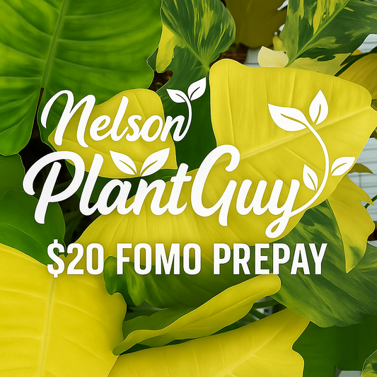 NPG Fomo Prepay $20