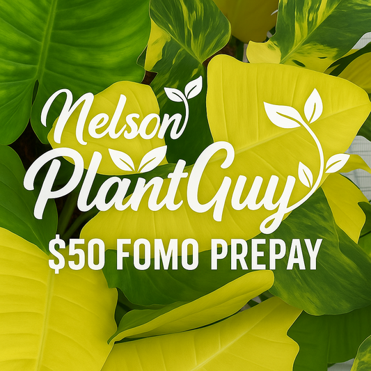 NPG Fomo Prepay $50