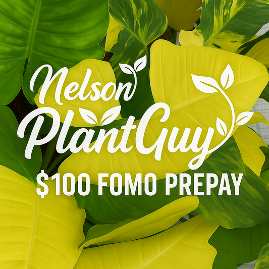 NPG Fomo Prepay $100