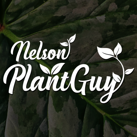 Nelson Plant Guy