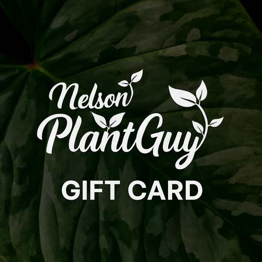 NPG Gift Card