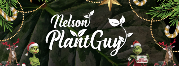 Nelson Plant Guy
